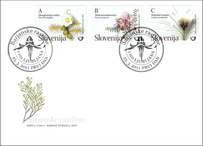 RASTLINSTVO - BARJANSKE RASTLINE